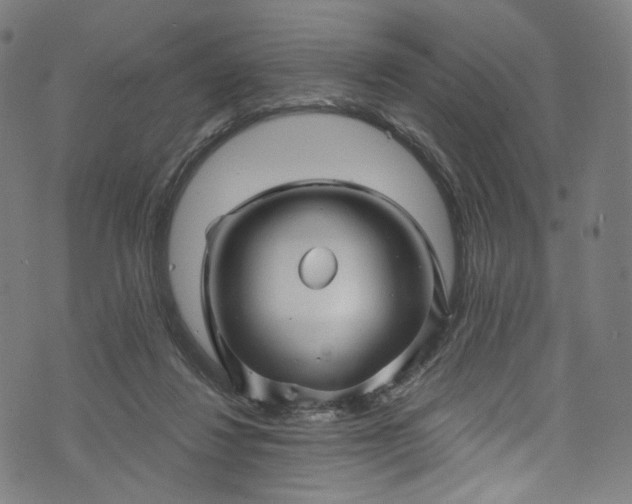 X0000073730260200608171236