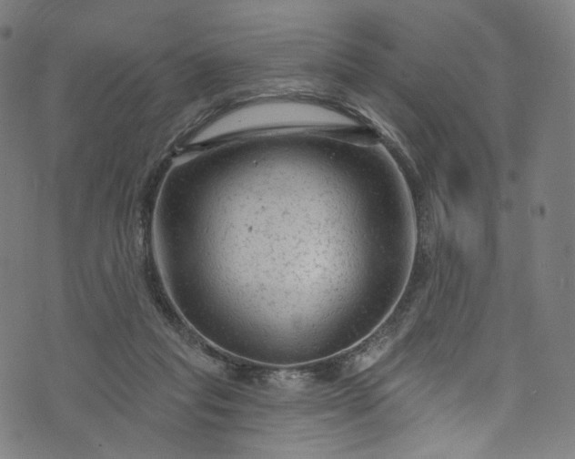 X0000073730261200608171236