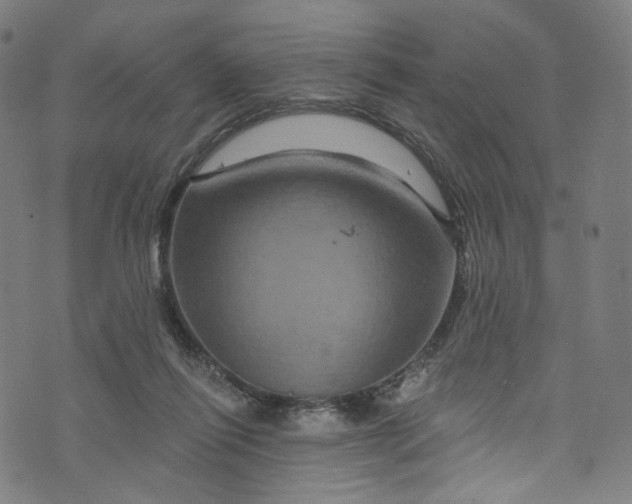 X0000073730262200608171236