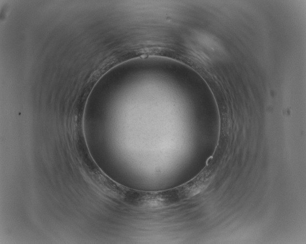 X0000073730263200608171236