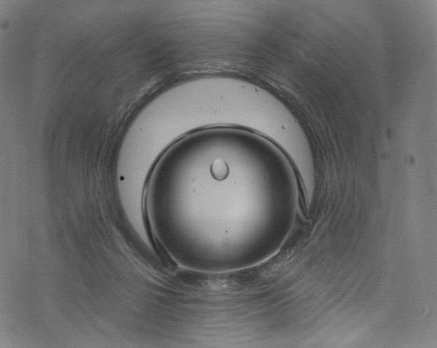 X0000073730264200608171236