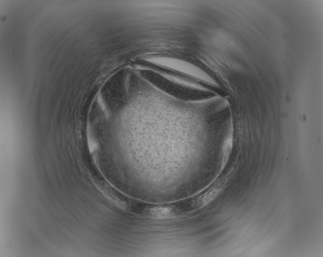 X0000073730265200608171236