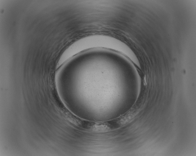 X0000073730270200608171236