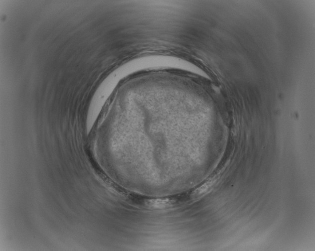 X0000073730273200608171236