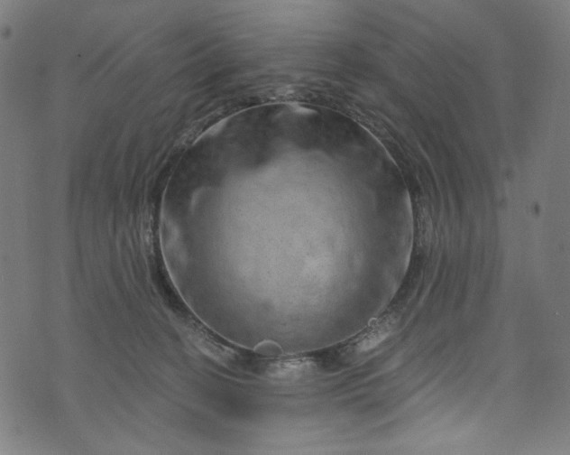 X0000073730274200608171236