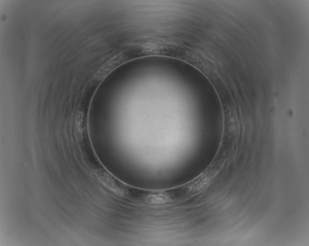 X0000073730275200608171236