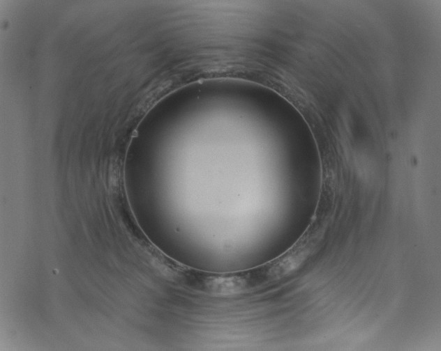 X0000073730277200608171236