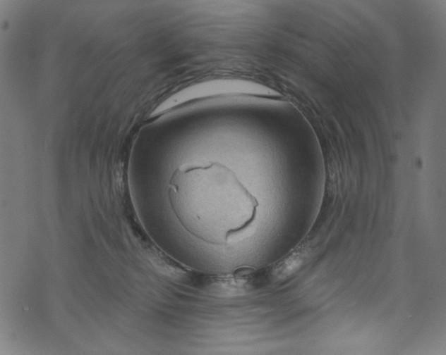 X0000073730278200608171236