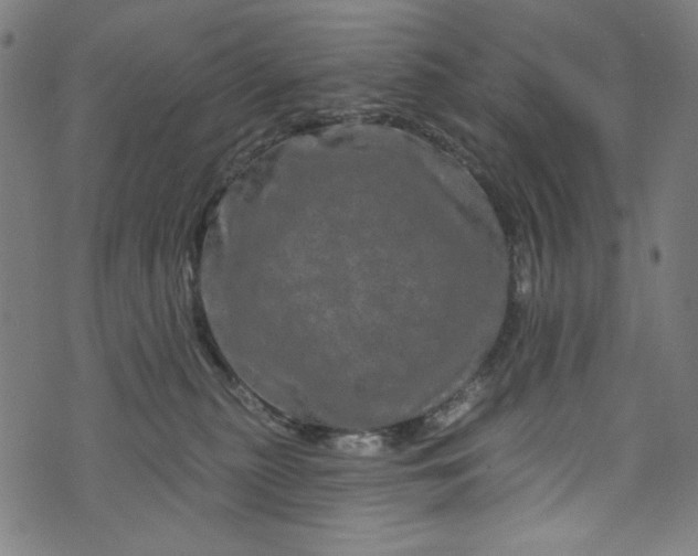 X0000073730279200608171236