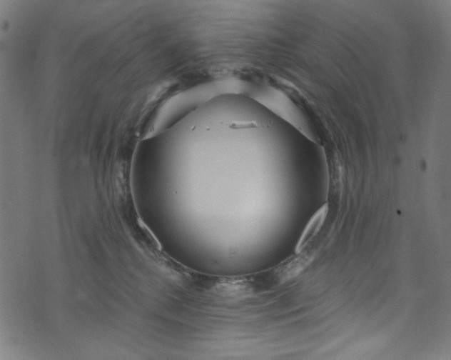 X0000073730280200608171236