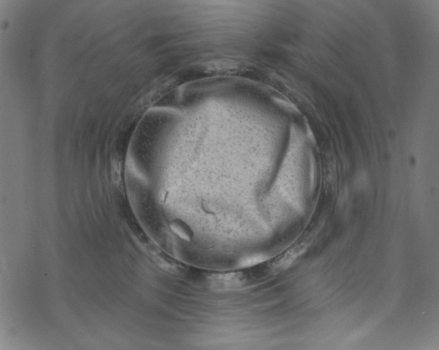 X0000073730281200608171236