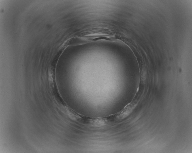 X0000073730282200608171236