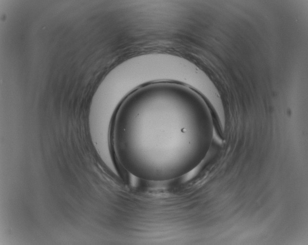 X0000073730284200608171236