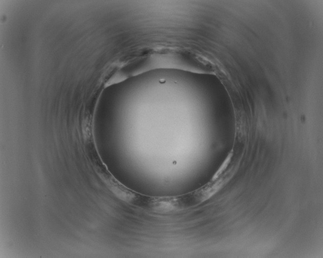 X0000073730285200608171236