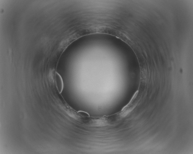 X0000073730286200608171236