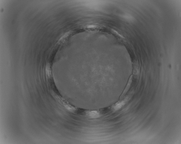 X0000073730287200608171236