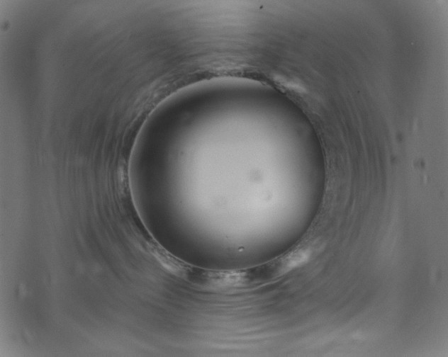 X0000073730288200608171236