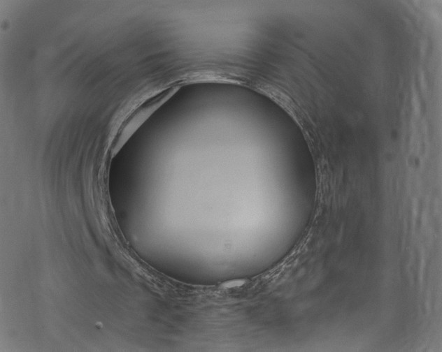 X0000073730289200608171236