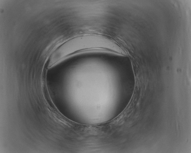 X0000073730290200608171236