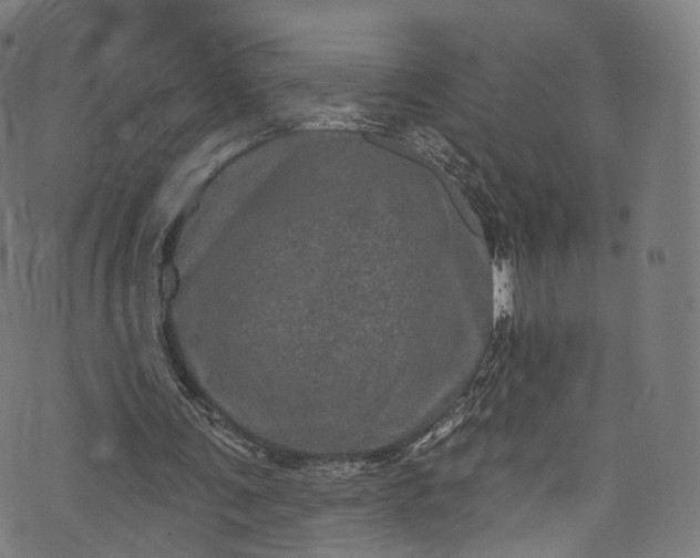 X0000073730291200608171236