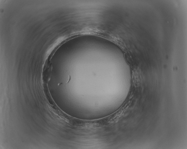 X0000073730292200608171236