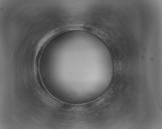 X0000073730294200608171236