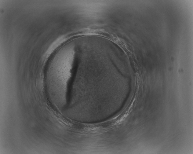 X0000073730295200608171236