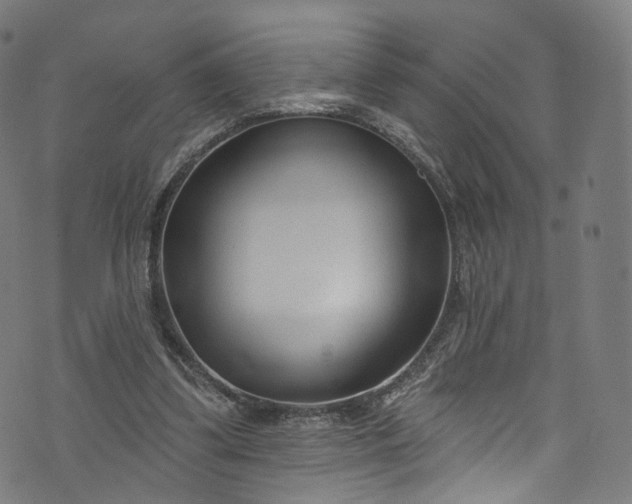 X0000073730299200608171235