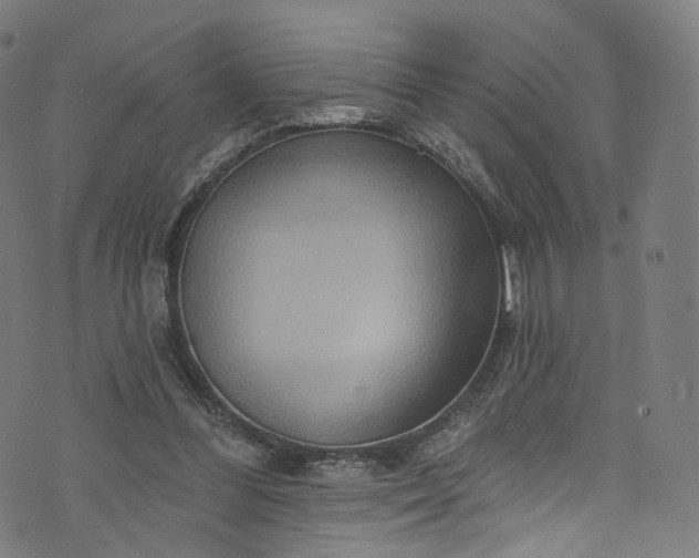 X0000073730300200608171235