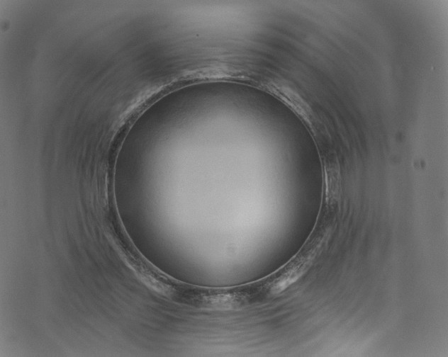 X0000073730301200608171235