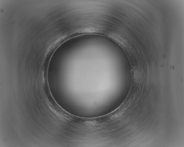 X0000073730302200608171235