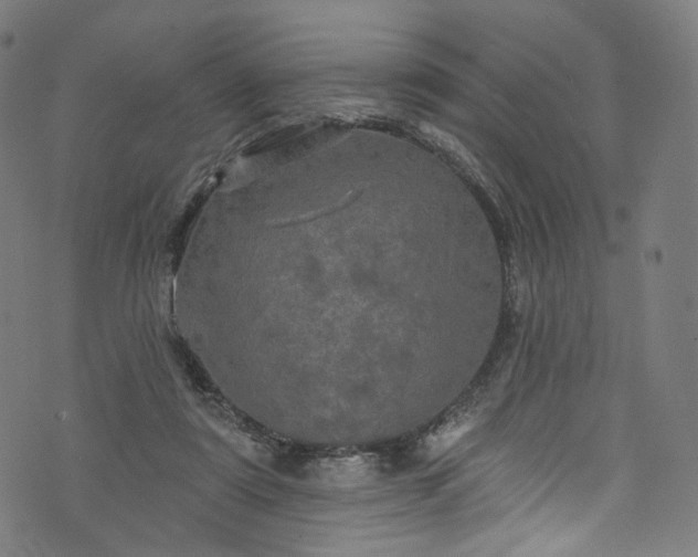 X0000073730307200608171235