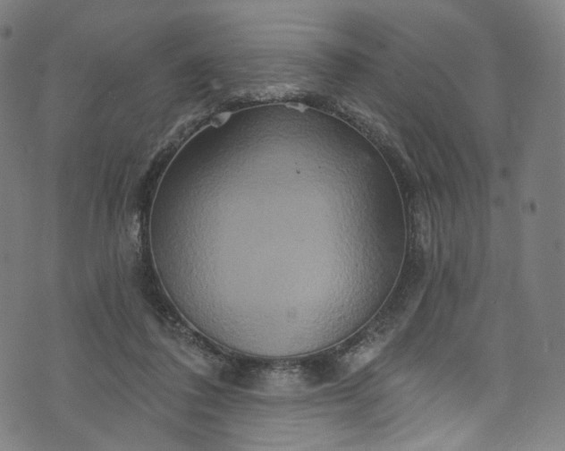 X0000073730308200608171235