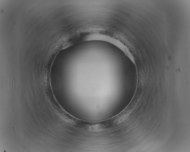 X0000073730309200608171235