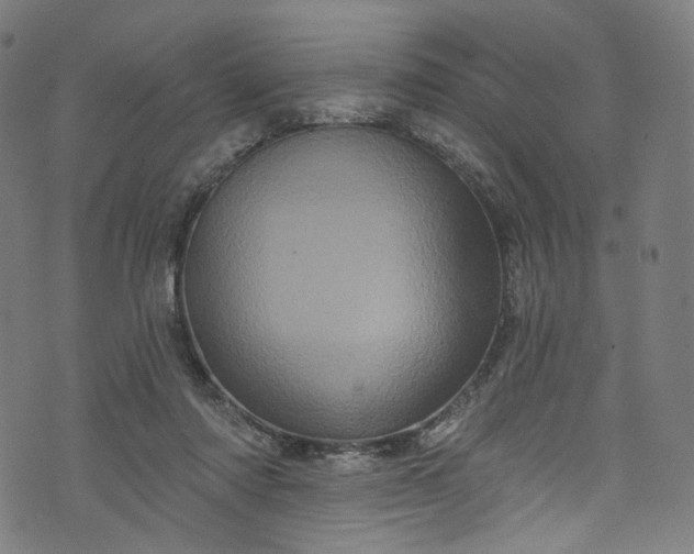 X0000073730310200608171235