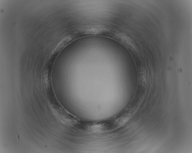 X0000073730312200608171235