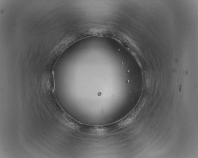 X0000073730313200608171235