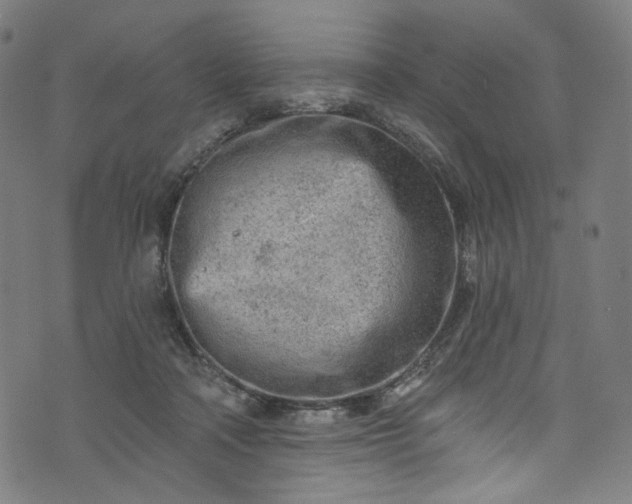 X0000073730314200608171235