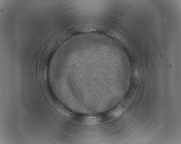 X0000073730315200608171235