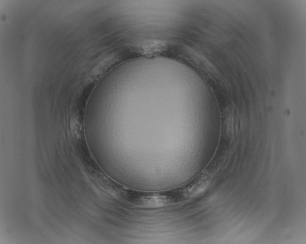 X0000073730316200608171235