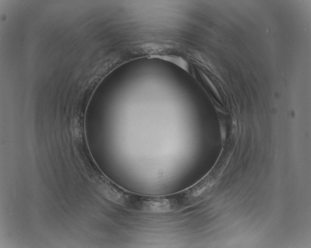 X0000073730317200608171235