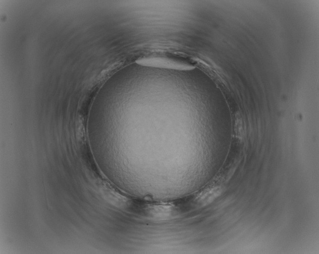 X0000073730318200608171235