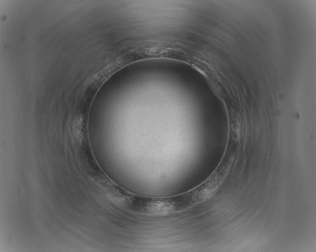 X0000073730319200608171235