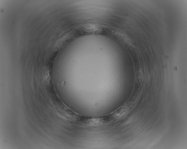 X0000073730320200608171235