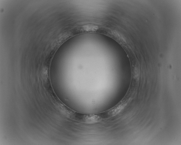 X0000073730321200608171235