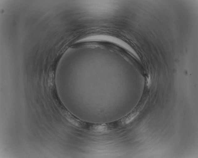 X0000073730325200608171235