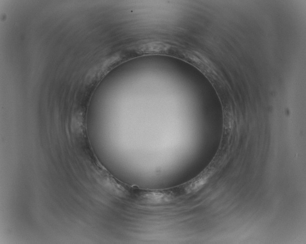 X0000073730326200608171235