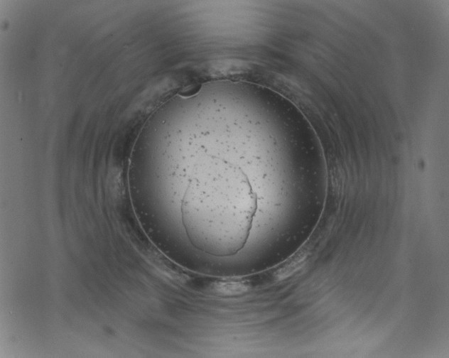 X0000073730327200608171235