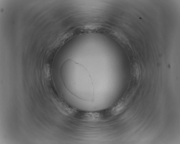 X0000073730328200608171235