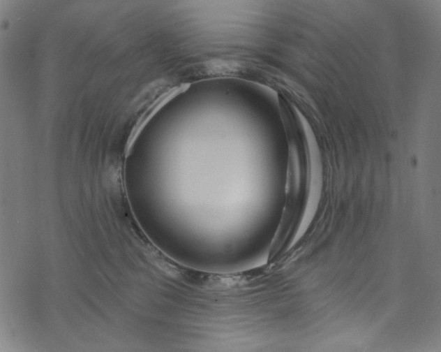 X0000073730329200608171235